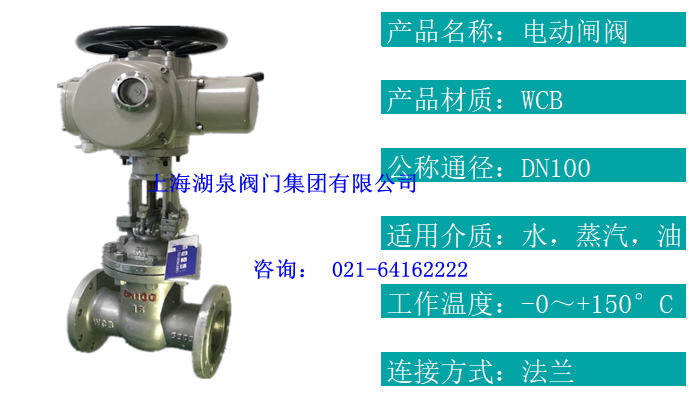 电动闸阀DN100