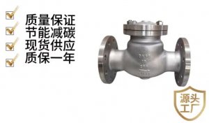 止回阀\H44W-16P DN25生产厂家（厂商）	